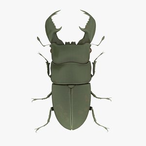 Stag Beetle Rubber Toy