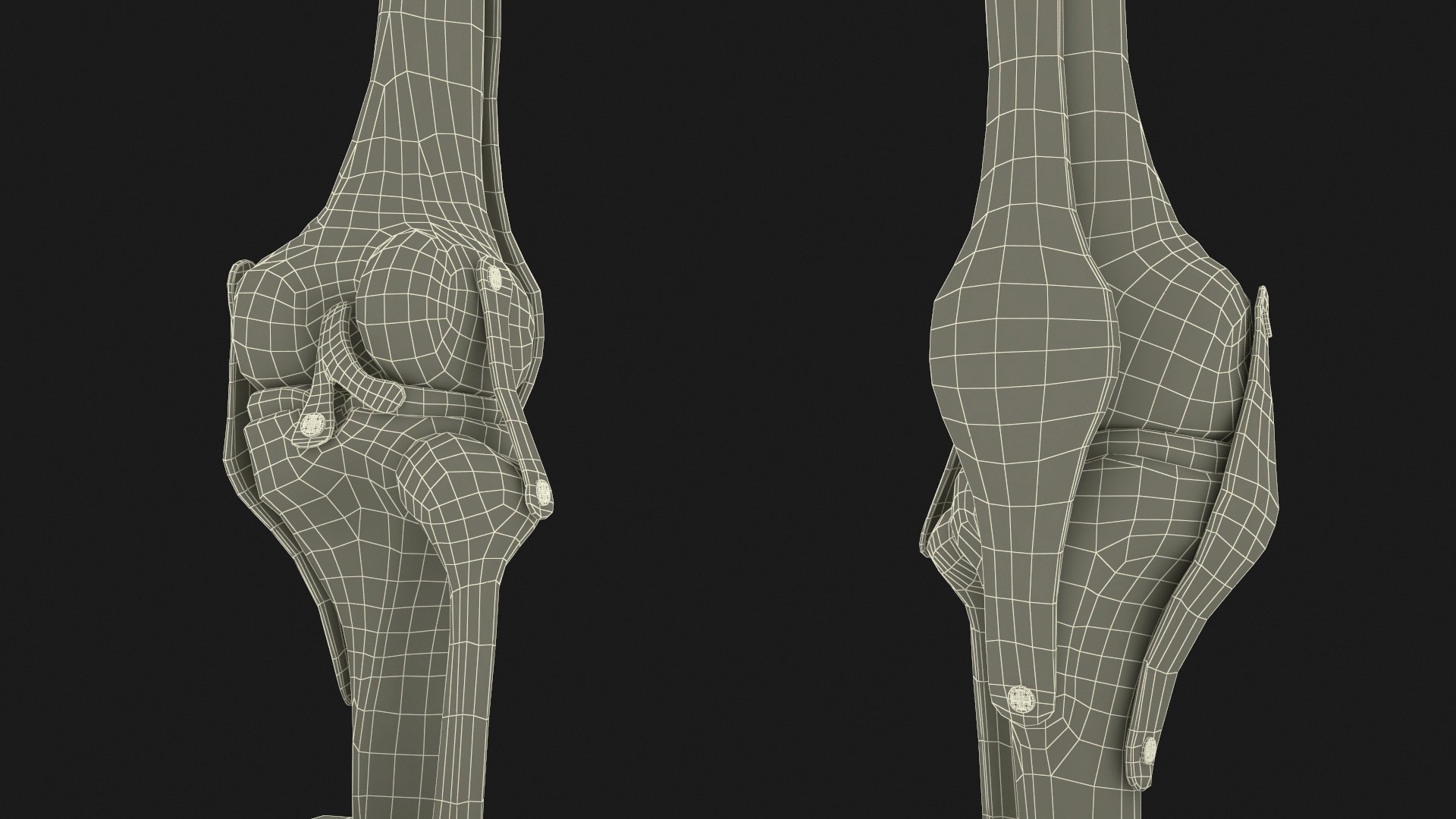 3D Anatomical Model Of Knee Joint Model - TurboSquid 2279778