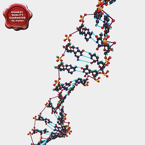 DNA