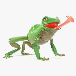 Realistic Australian Green Frog Rigged for Cinema 4D
