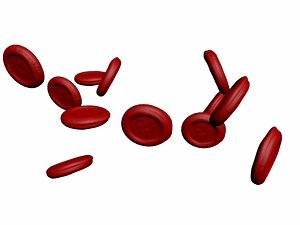 Red Blood Cell