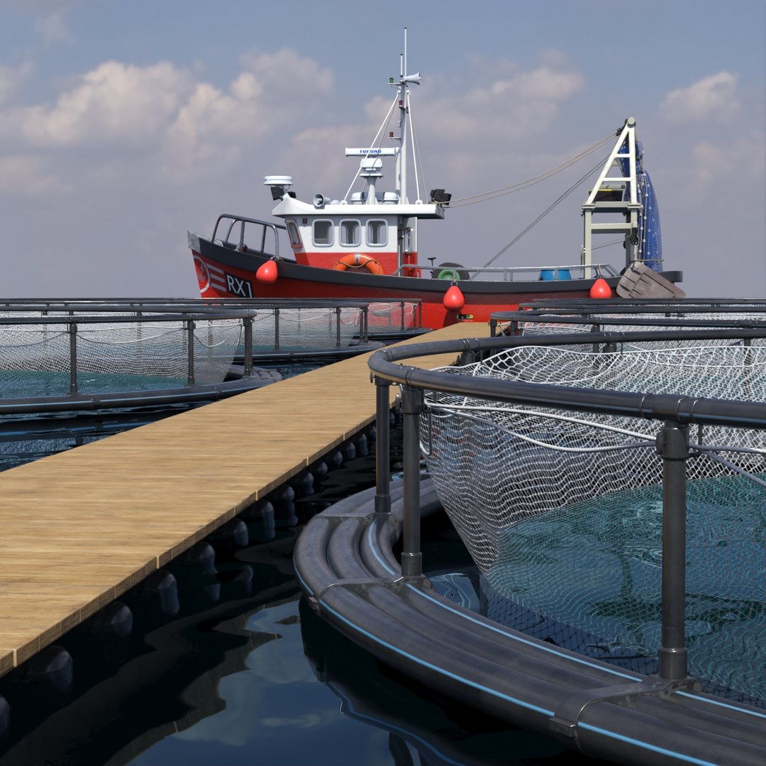 Marine Fish Cage Array with Central Pier and Catch Boat model https://p.turbosquid.com/ts-thumb/Y7/uGsowT/pH/marine_fish_cage_array_with_central_pier_and_catch_boat_001/jpg/1754848009/1920x1080/fit_q87/f16d3aee349450e2fbe55d5f32d2626930502387/marine_fish_cage_array_with_central_pier_and_catch_boat_001.jpg