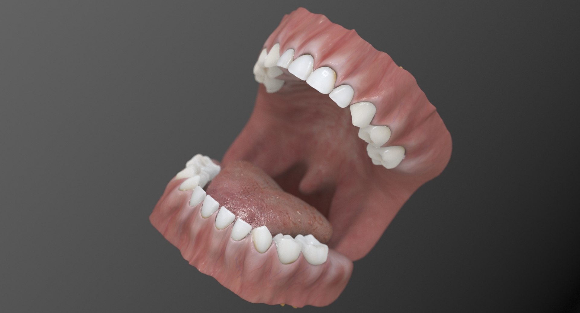 3D baby mouth model https://p.turbosquid.com/ts-thumb/Y7/zoNbDL/05kMrpvQ/signature_bgr/jpg/1498176877/1920x1080/fit_q87/4df9945397726dd3f26a0208a7a9c078cc4f5698/signature_bgr.jpg