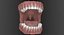 3D baby mouth model