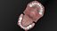 3D baby mouth model