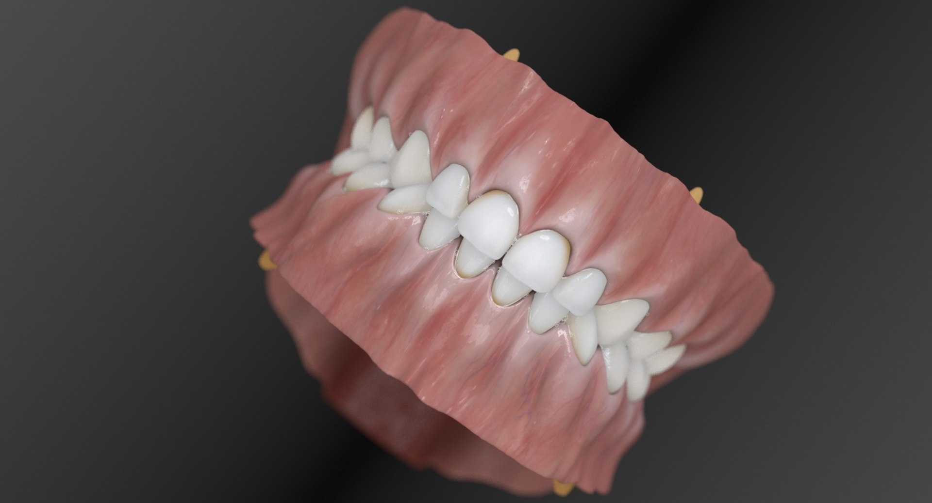 3D Baby Mouth Model - TurboSquid 1170631