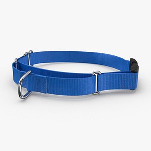 Dog Collar 03(1)