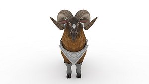 Wild goat