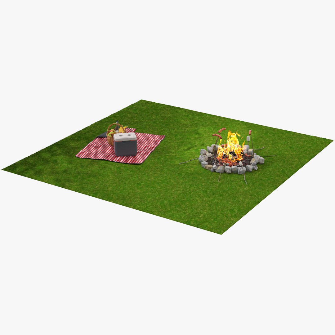 Picnic Food with Campfire Fur 3D model preview