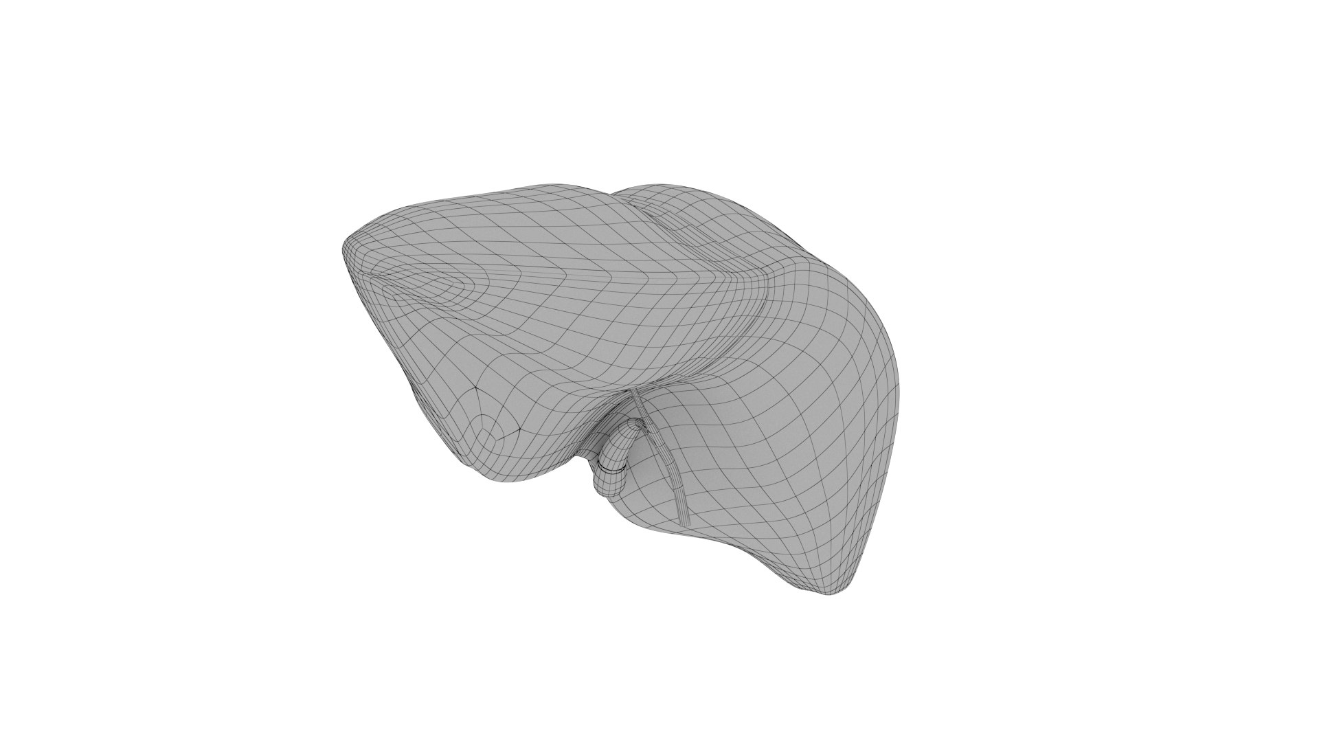 Liver 3D - TurboSquid 2190917