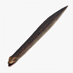 Titanoboa - Dinosaur 3D model