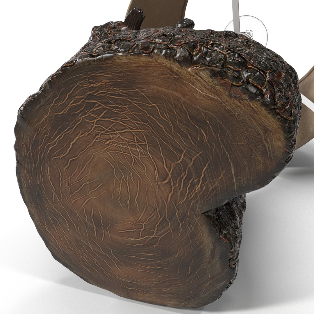 bear tree accent lamp max https://p.turbosquid.com/ts-thumb/Y8/gvJhUU/YTEJllXw/bearandtreeaccentlamp_26/jpg/1386086553/1920x1080/fit_q87/cd9978bdbaff401553465d18105763d4265dea3f/bearandtreeaccentlamp_26.jpg