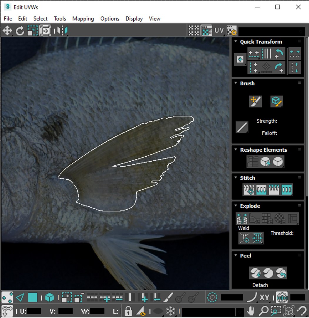 3D Fishes Set https://p.turbosquid.com/ts-thumb/Y8/hAvjxF/0u/screenshot20220719105320/png/1658388169/1920x1080/fit_q87/a467659852ace5452de12af4aeb415c45b8e0ee3/screenshot20220719105320.jpg
