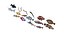 Fishes Set