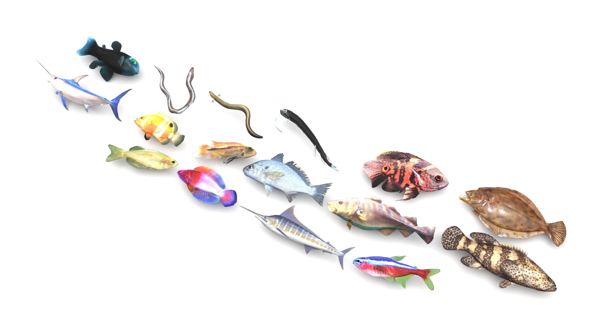 3D Fishes Set https://p.turbosquid.com/ts-thumb/Y8/hAvjxF/44/fishesset3/jpg/1658388047/1920x1080/fit_q87/f949e31052131d3c6b79bcf3069ca566716a64f0/fishesset3.jpg