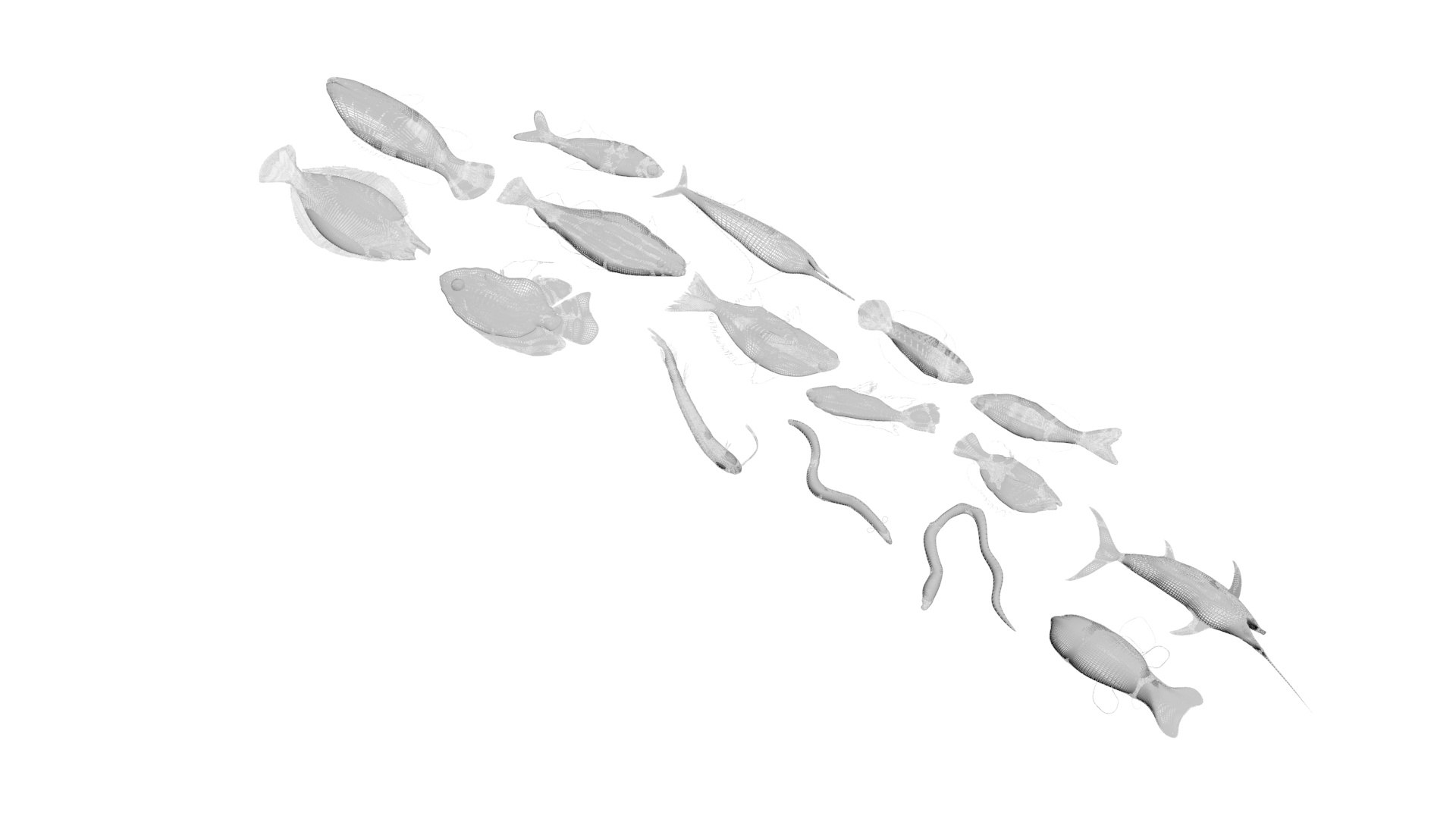 3D Fishes Set https://p.turbosquid.com/ts-thumb/Y8/hAvjxF/5r/fishesset33/jpg/1658388062/1920x1080/fit_q87/5ae1c404aec82114dc2514a27ef9dfe4027e8f1f/fishesset33.jpg