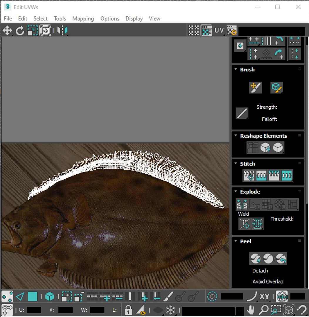 3D Fishes Set https://p.turbosquid.com/ts-thumb/Y8/hAvjxF/7F/screenshot20220717150827/png/1658388161/1920x1080/fit_q87/85b708fdc9cbed8f5486eb11602b14a10084f0d0/screenshot20220717150827.jpg
