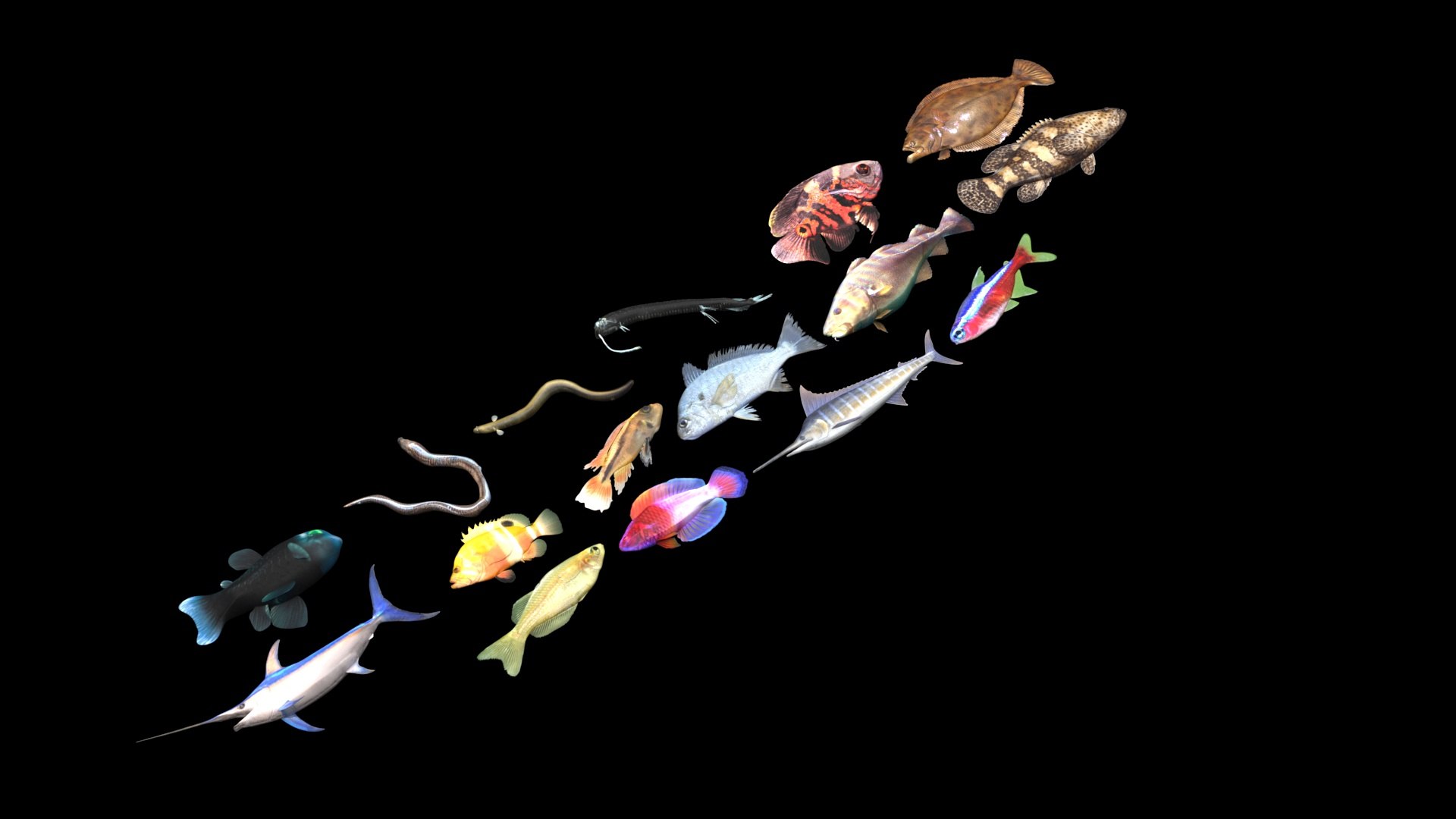 3D Fishes Set https://p.turbosquid.com/ts-thumb/Y8/hAvjxF/9B/fishesset22/jpg/1658388056/1920x1080/fit_q87/5014ddce7cf26b35e156c15e5e13cc5fe60b9e7f/fishesset22.jpg