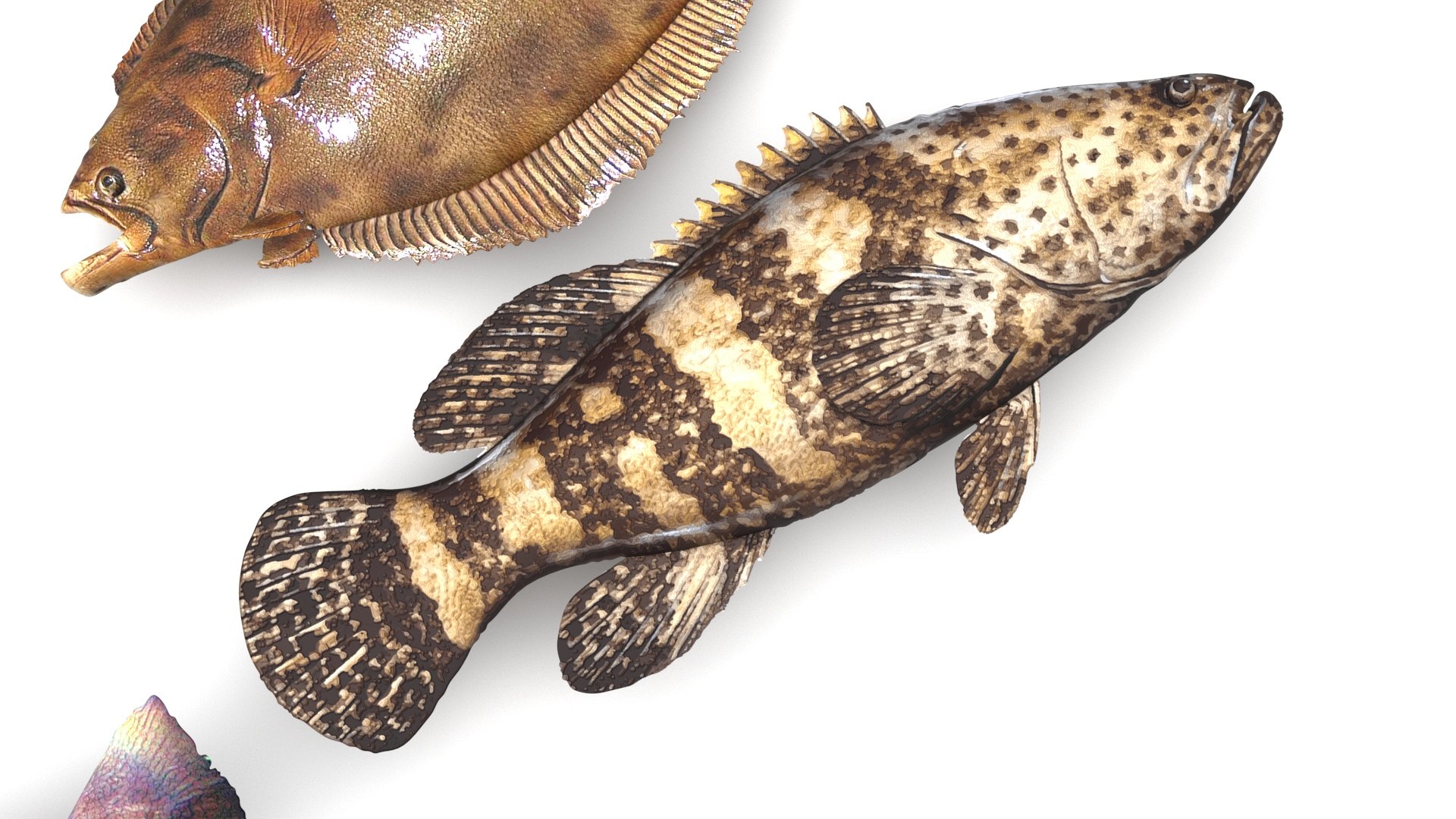 3D Fishes Set https://p.turbosquid.com/ts-thumb/Y8/hAvjxF/9r/fishesset15/jpg/1658388053/1920x1080/fit_q87/cf3fd0207953cafffe47894f4120d0b35087b937/fishesset15.jpg