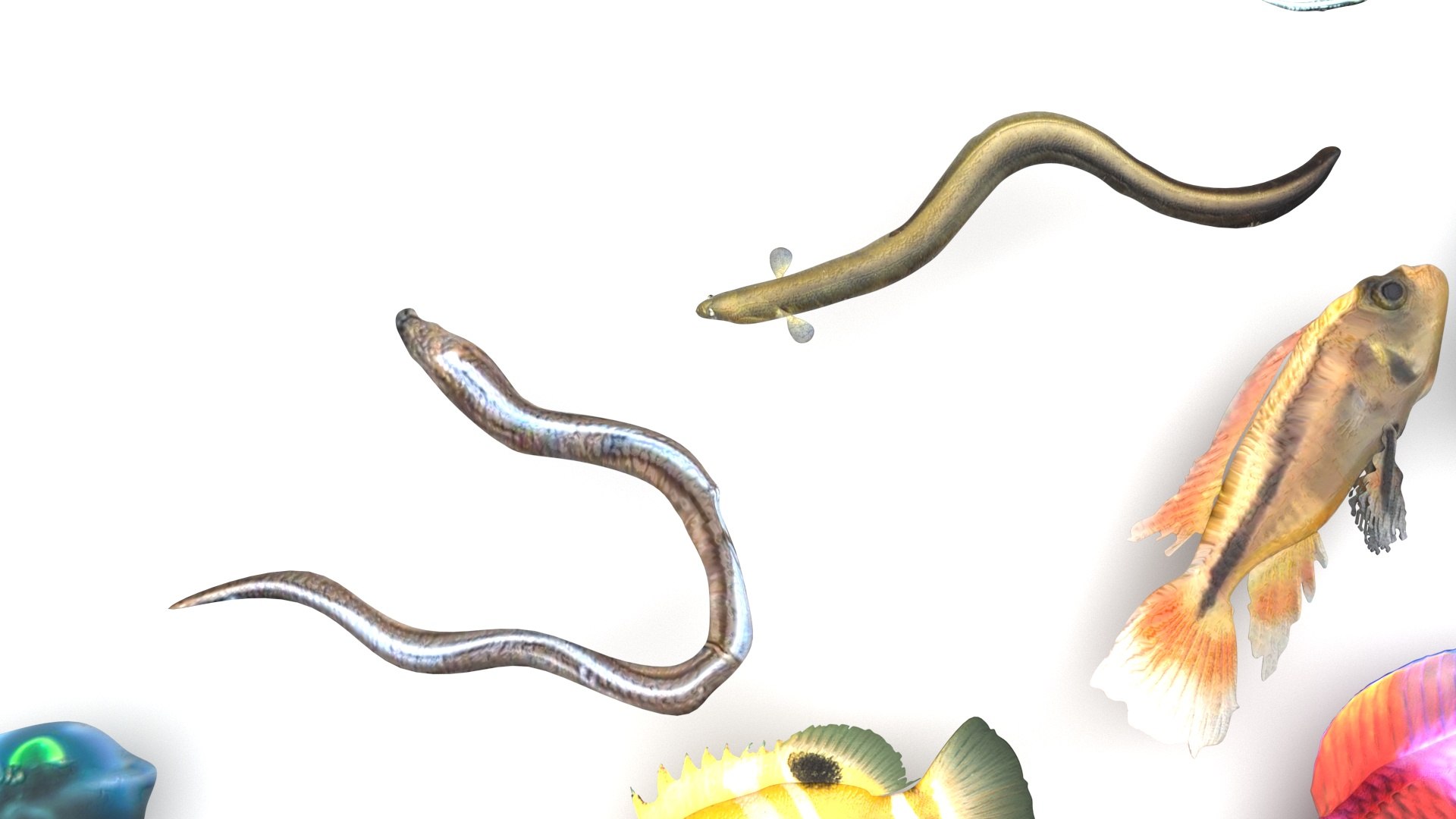 3D Fishes Set https://p.turbosquid.com/ts-thumb/Y8/hAvjxF/BP/fishesset7/jpg/1658388048/1920x1080/fit_q87/9e0d5d41bf611b128f93fe5e70815c01294329f5/fishesset7.jpg