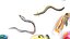 Fishes Set