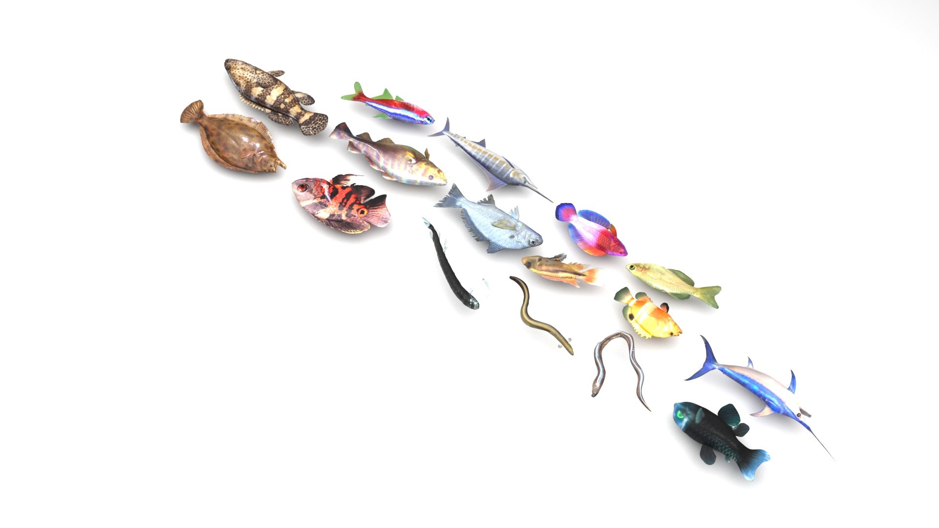 3D Fishes Set https://p.turbosquid.com/ts-thumb/Y8/hAvjxF/Dk/fishesset5/jpg/1658388047/1920x1080/fit_q87/477456b1e0ab5cbd28c296ac93a05d2e3b7c1973/fishesset5.jpg