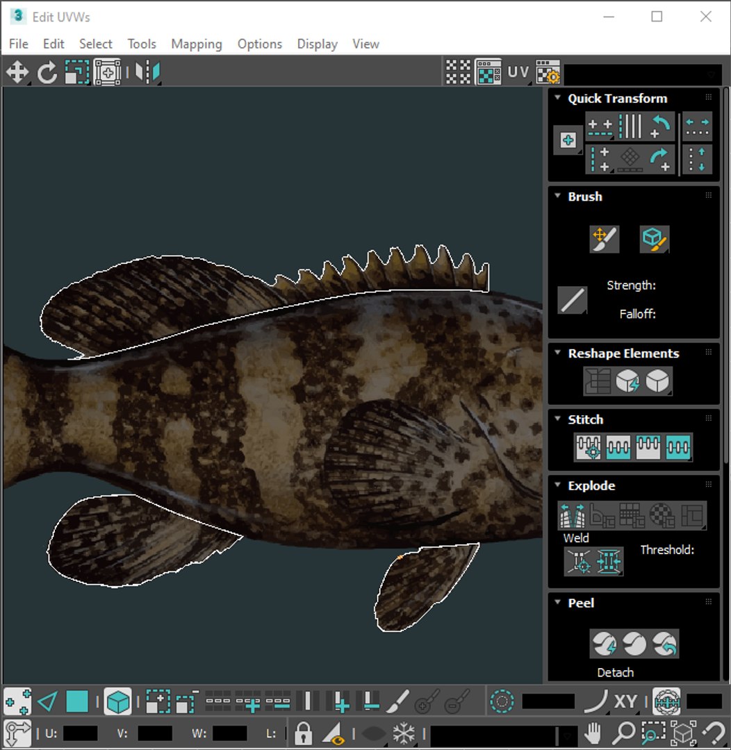 3D Fishes Set https://p.turbosquid.com/ts-thumb/Y8/hAvjxF/Fj/screenshot20220719224033/png/1658388173/1920x1080/fit_q87/49cd500297f37e9b54bdae00880a3c6fdbee8235/screenshot20220719224033.jpg