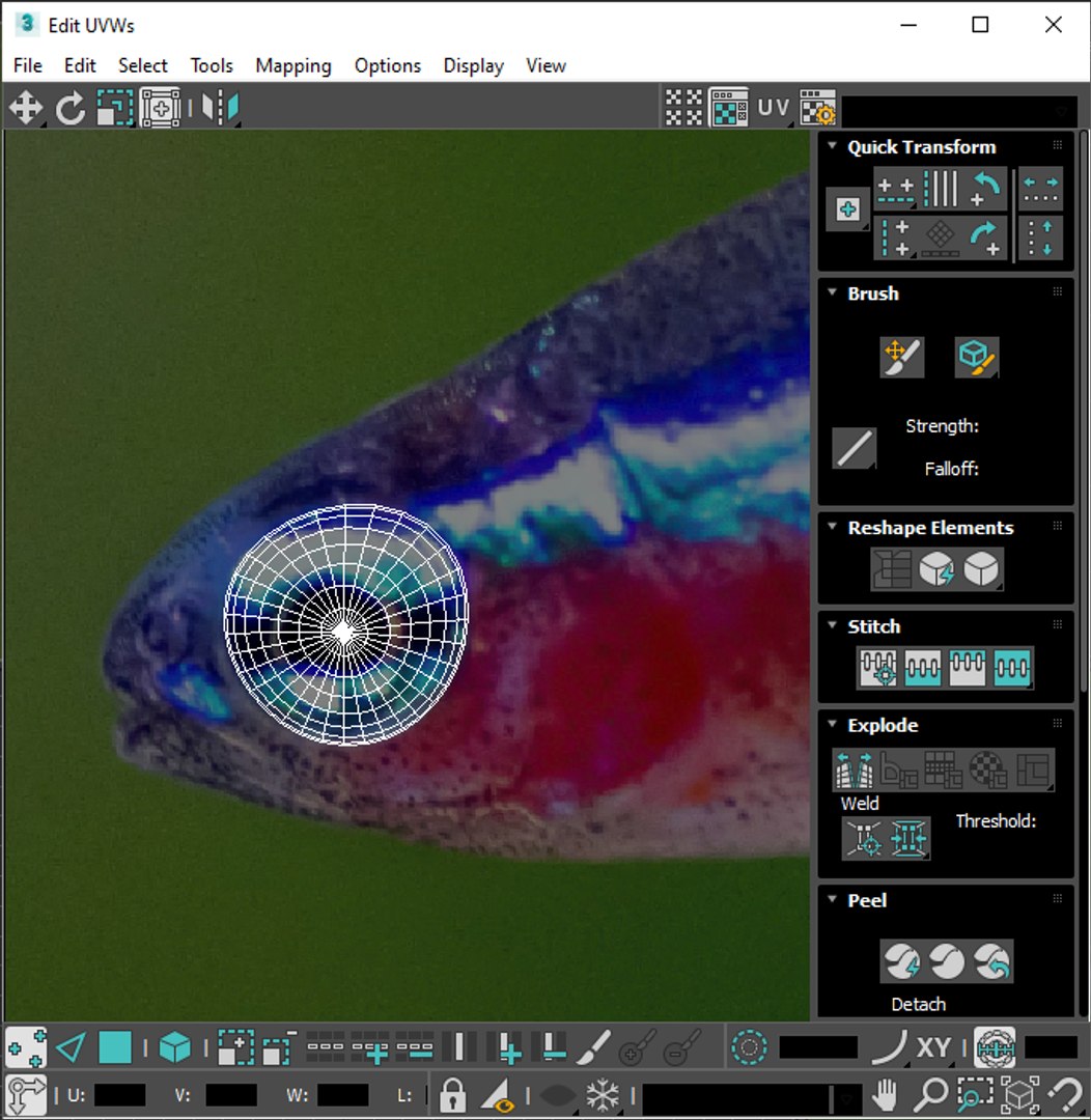 3D Fishes Set https://p.turbosquid.com/ts-thumb/Y8/hAvjxF/Gd/screenshot20220721090144/png/1658388182/1920x1080/fit_q87/0e15a29feb3c6e7d2bd3b677ea4eb6bae5346274/screenshot20220721090144.jpg
