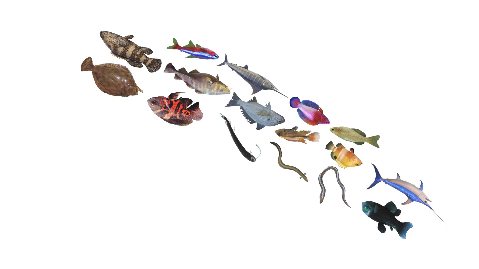 3D Fishes Set https://p.turbosquid.com/ts-thumb/Y8/hAvjxF/Js/fishesset26/jpg/1658388058/1920x1080/fit_q87/35e9a4dbaeee3407b605569a975782b60c696c20/fishesset26.jpg