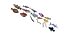 Fishes Set