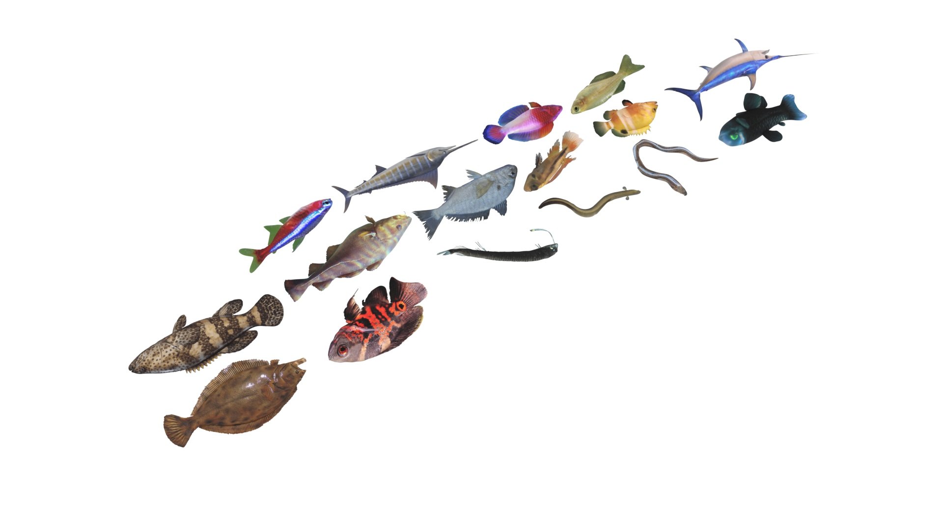 3D Fishes Set https://p.turbosquid.com/ts-thumb/Y8/hAvjxF/KK/fishesset25/jpg/1658388058/1920x1080/fit_q87/e6f2bd2e73dfcae08870885748e8f7ff61360108/fishesset25.jpg