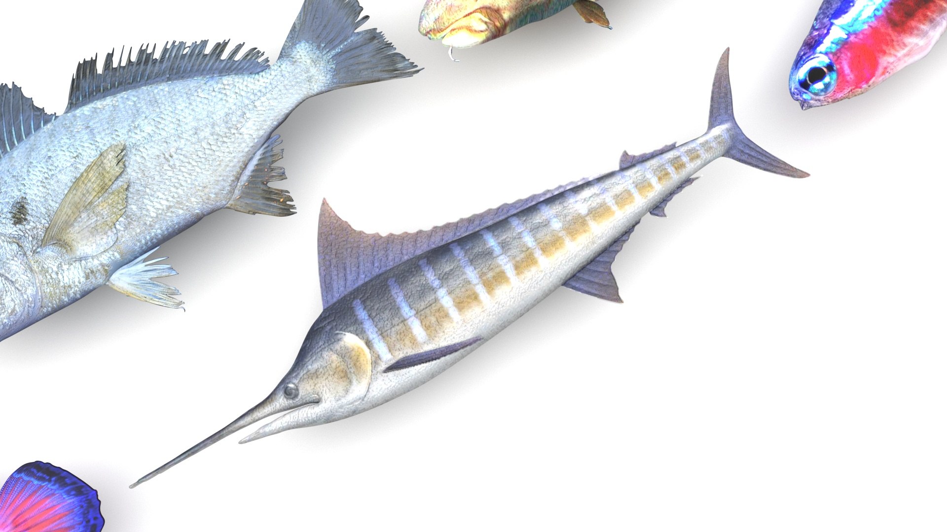 3D Fishes Set https://p.turbosquid.com/ts-thumb/Y8/hAvjxF/Lt/fishesset18/jpg/1658388054/1920x1080/fit_q87/d4a292ba7b70f02b08ccae15c0a3bdbaefba0875/fishesset18.jpg