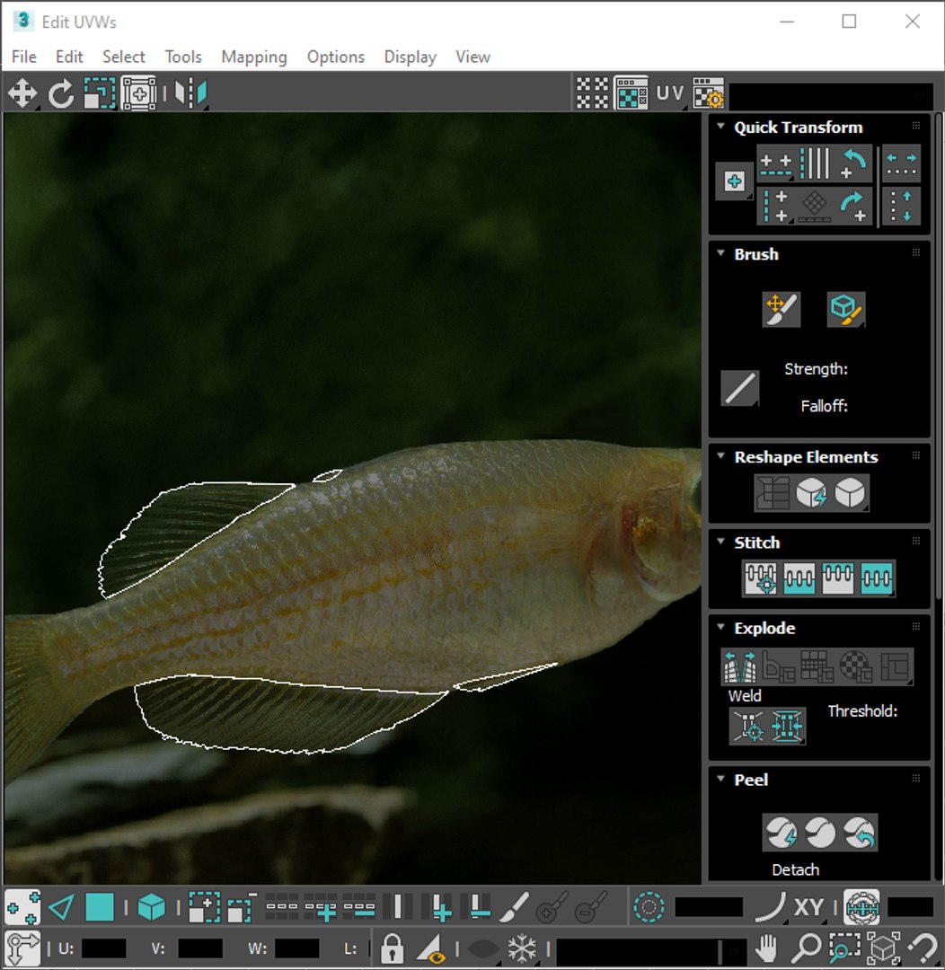 3D Fishes Set https://p.turbosquid.com/ts-thumb/Y8/hAvjxF/MN/screenshot20220720130705/png/1658388177/1920x1080/fit_q87/2179f9ffea5fce2473625519a918ae03afddaf4a/screenshot20220720130705.jpg