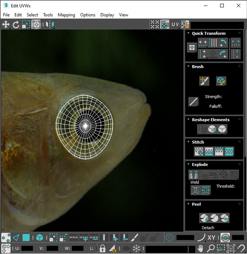 3D Fishes Set https://p.turbosquid.com/ts-thumb/Y8/hAvjxF/N6/screenshot20220720131548/png/1658388177/1920x1080/fit_q87/894319e7e8a20eba0e46651d5137e8231cc1232d/screenshot20220720131548.jpg