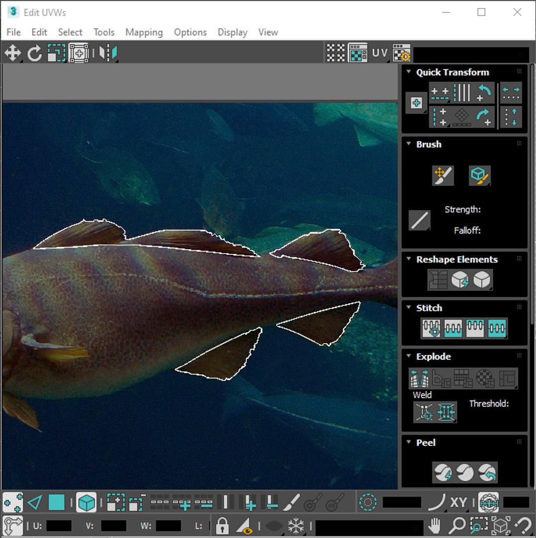 3D Fishes Set https://p.turbosquid.com/ts-thumb/Y8/hAvjxF/NK/screenshot20220719141210/png/1658388170/1920x1080/fit_q87/e0e2efe4ade0f2dfc58f1d39bc6fb9f047f721d3/screenshot20220719141210.jpg