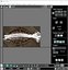 Fishes Set