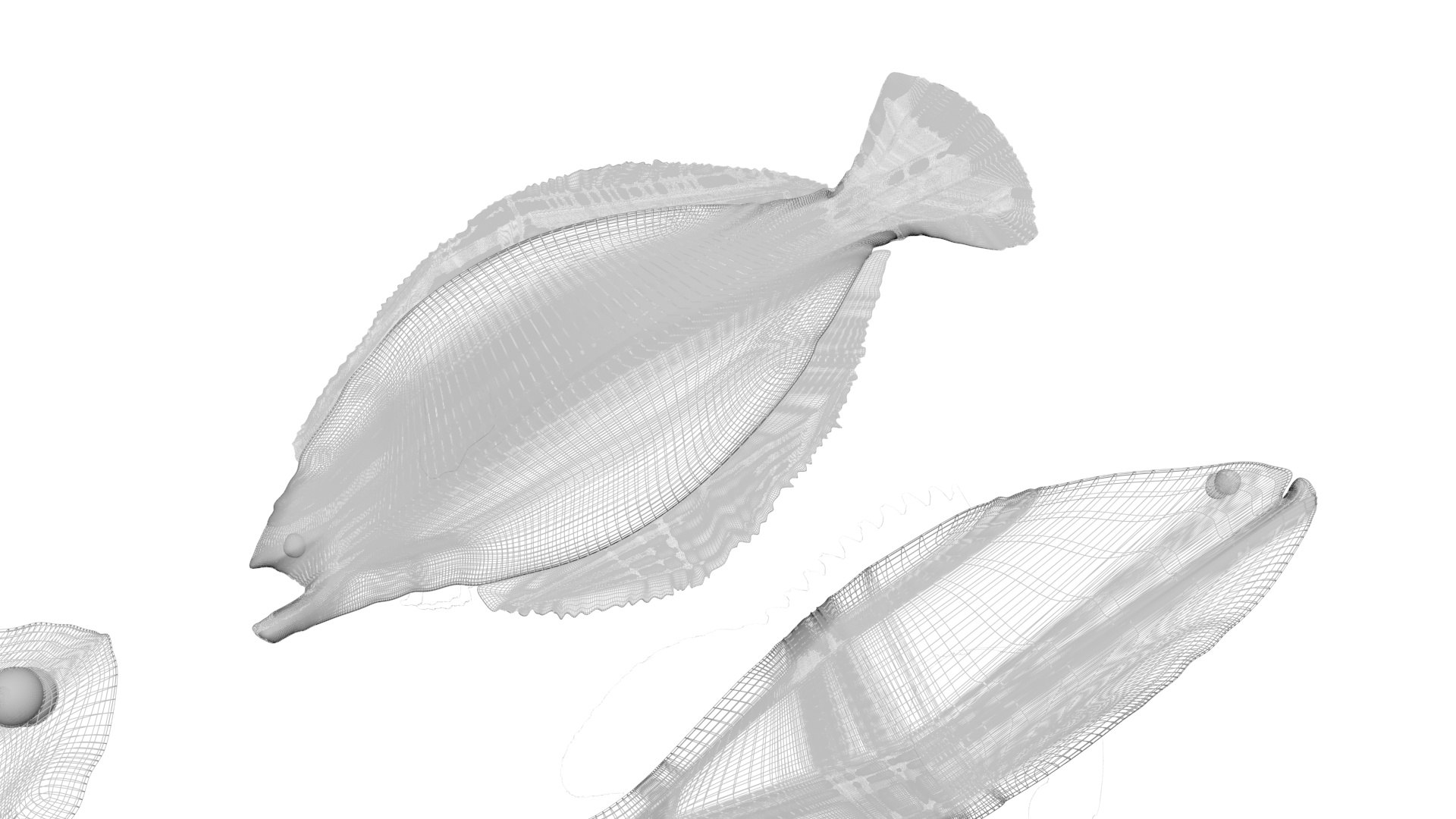 3D Fishes Set https://p.turbosquid.com/ts-thumb/Y8/hAvjxF/UM/fishesset38/jpg/1658388066/1920x1080/fit_q87/e7edc35a48db03838b871f4c74a3e822eaa91da3/fishesset38.jpg