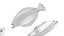 Fishes Set