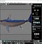 Fishes Set