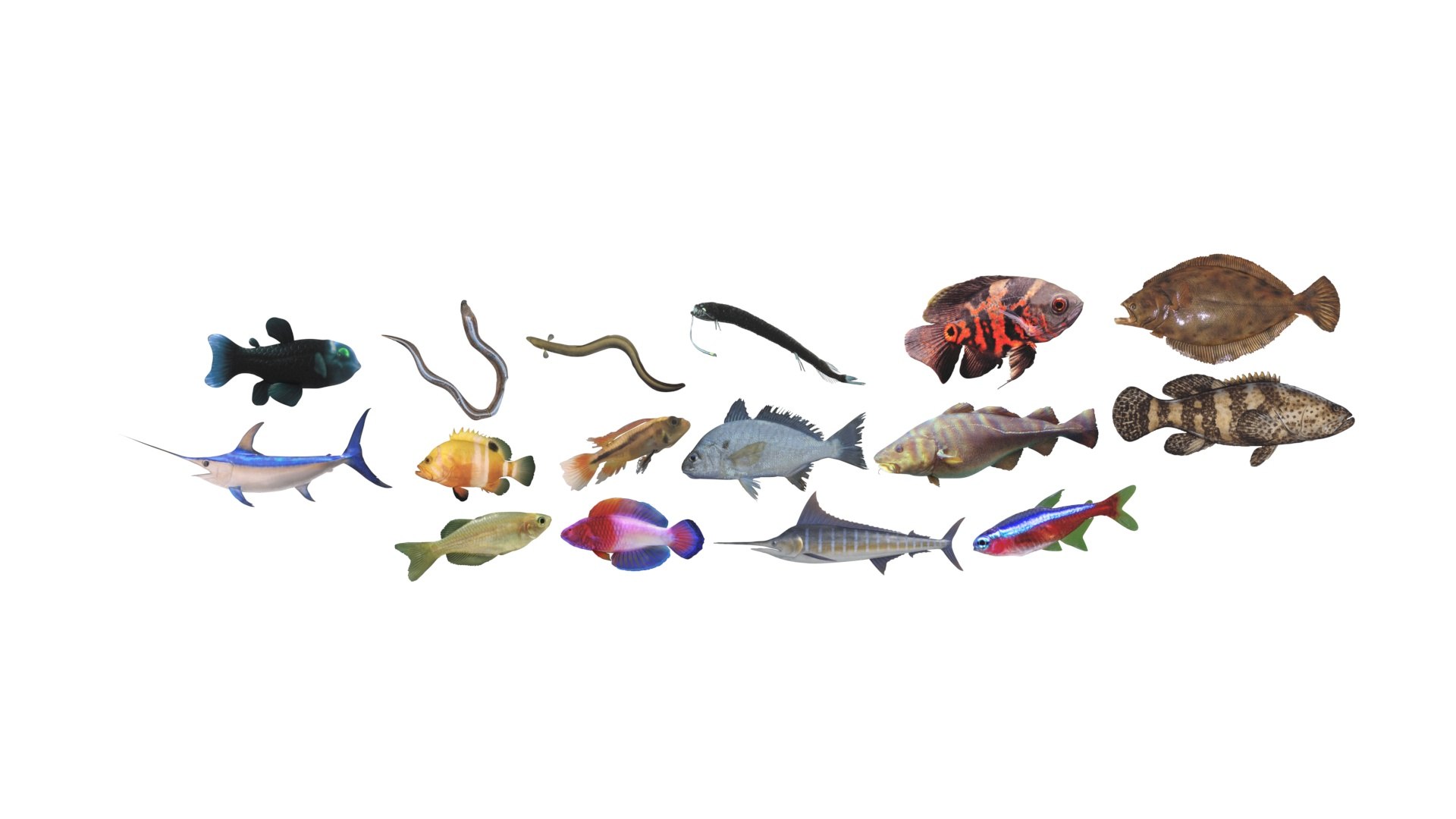 3D Fishes Set https://p.turbosquid.com/ts-thumb/Y8/hAvjxF/WF/fishesset29/jpg/1658388060/1920x1080/fit_q87/32c1fe586d6c2bc8df0eb00e7e80caf0d87dc12d/fishesset29.jpg