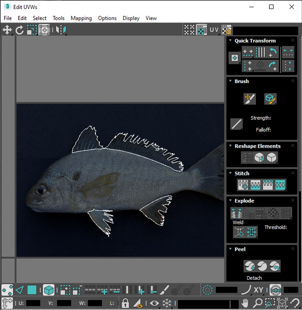 3D Fishes Set https://p.turbosquid.com/ts-thumb/Y8/hAvjxF/WI/screenshot20220718225805/png/1658388168/1920x1080/fit_q87/17dfd99dd7c18b59cadac816cb78f50cc41b2b4c/screenshot20220718225805.jpg