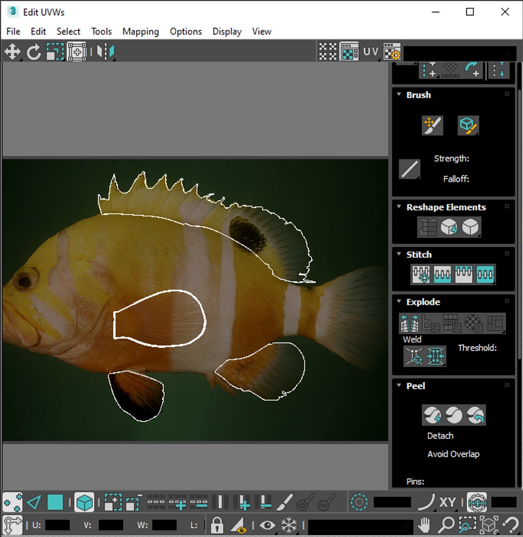 3D Fishes Set https://p.turbosquid.com/ts-thumb/Y8/hAvjxF/Zm/screenshot20220718131139/png/1658388165/1920x1080/fit_q87/a4f8df1ead32b288488300b37558c5b966f8ad35/screenshot20220718131139.jpg