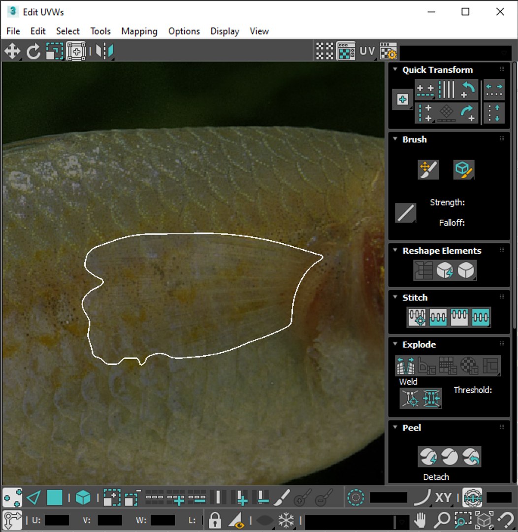 3D Fishes Set https://p.turbosquid.com/ts-thumb/Y8/hAvjxF/aD/screenshot20220720131219/png/1658388177/1920x1080/fit_q87/88a1223def2617807f319198b8642df8226a545b/screenshot20220720131219.jpg