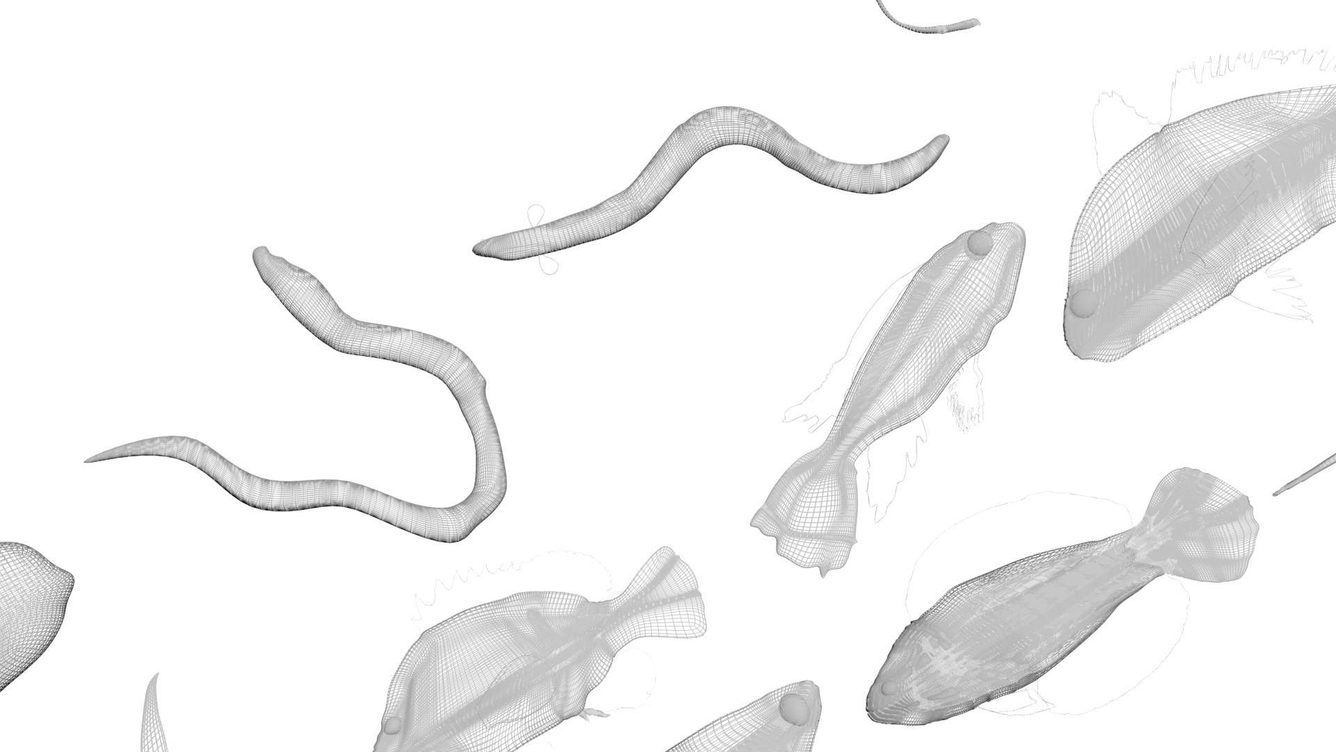 3D Fishes Set https://p.turbosquid.com/ts-thumb/Y8/hAvjxF/ab/fishesset36/jpg/1658388063/1920x1080/fit_q87/71f24d1b6ced23de6a0f49186fb7636252f31550/fishesset36.jpg