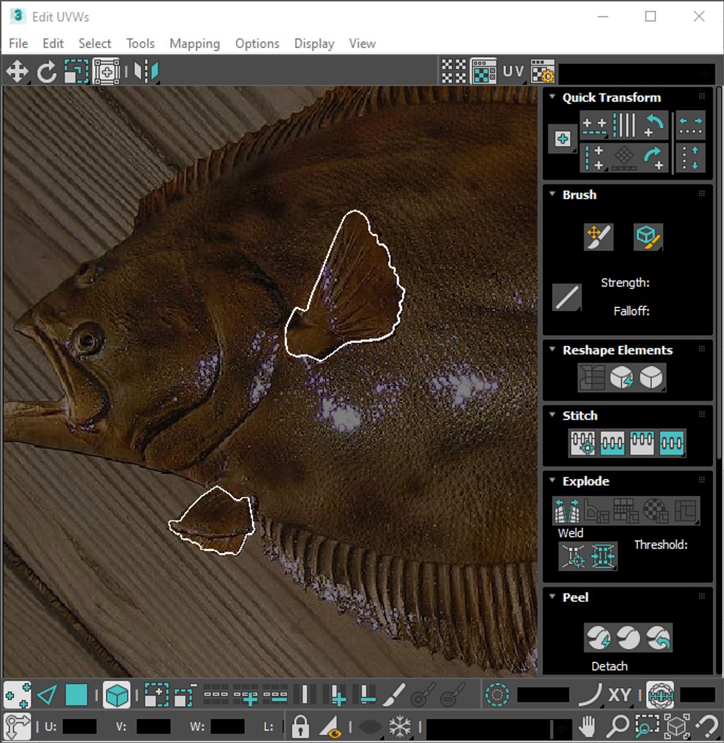 3D Fishes Set https://p.turbosquid.com/ts-thumb/Y8/hAvjxF/bE/screenshot20220717162812/png/1658388161/1920x1080/fit_q87/39addf5fb82287fb3ac20fd37bab1f96b54cd894/screenshot20220717162812.jpg