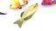 Fishes Set