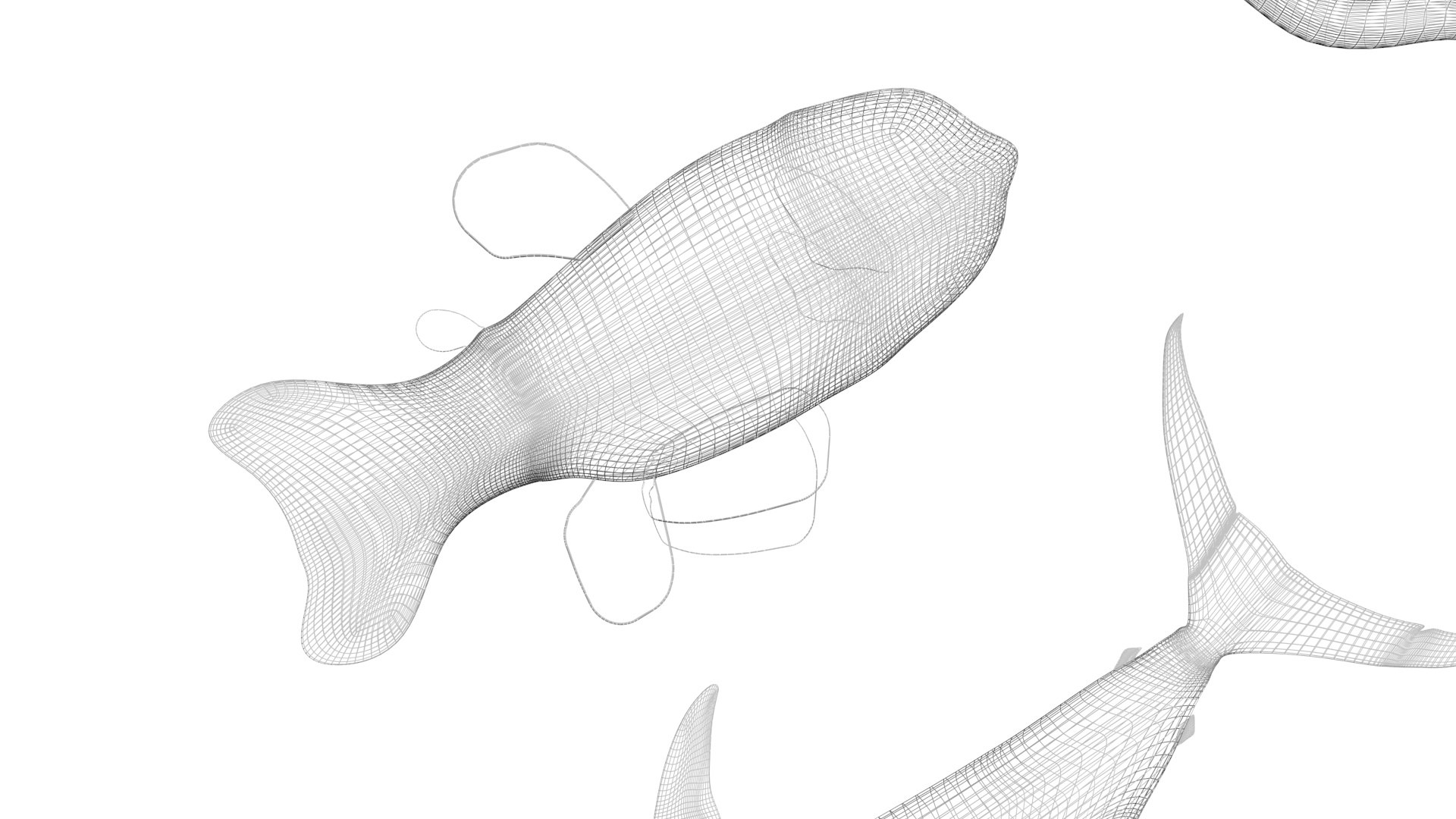 3D Fishes Set https://p.turbosquid.com/ts-thumb/Y8/hAvjxF/hk/fishesset35/jpg/1658388063/1920x1080/fit_q87/b52f2cbd62c41649874cb81af791a8fc2550a5da/fishesset35.jpg