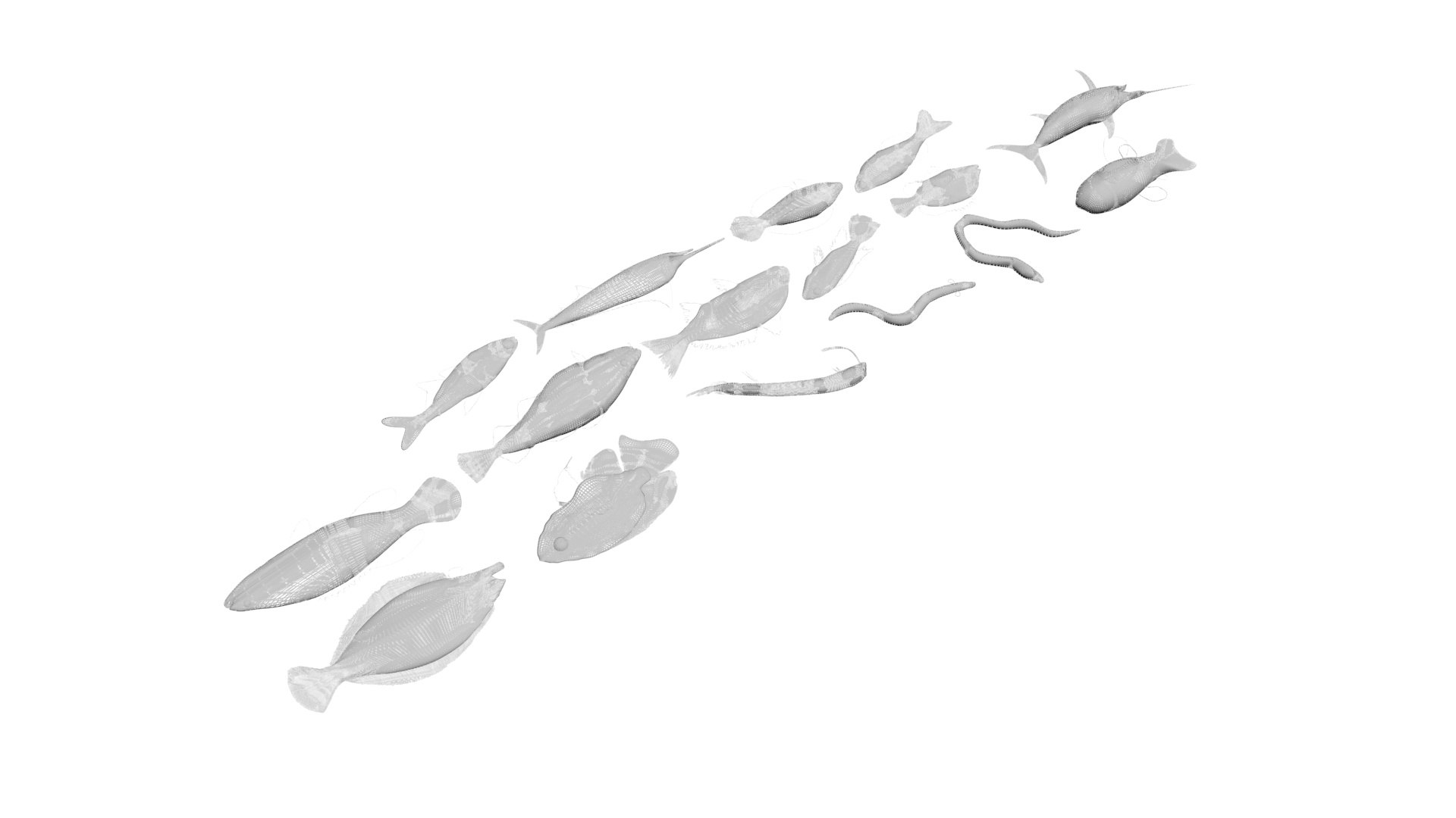 3D Fishes Set https://p.turbosquid.com/ts-thumb/Y8/hAvjxF/iQ/fishesset32/jpg/1658388061/1920x1080/fit_q87/08edaecaff9203a054d9c6658f458fdc6f370d90/fishesset32.jpg