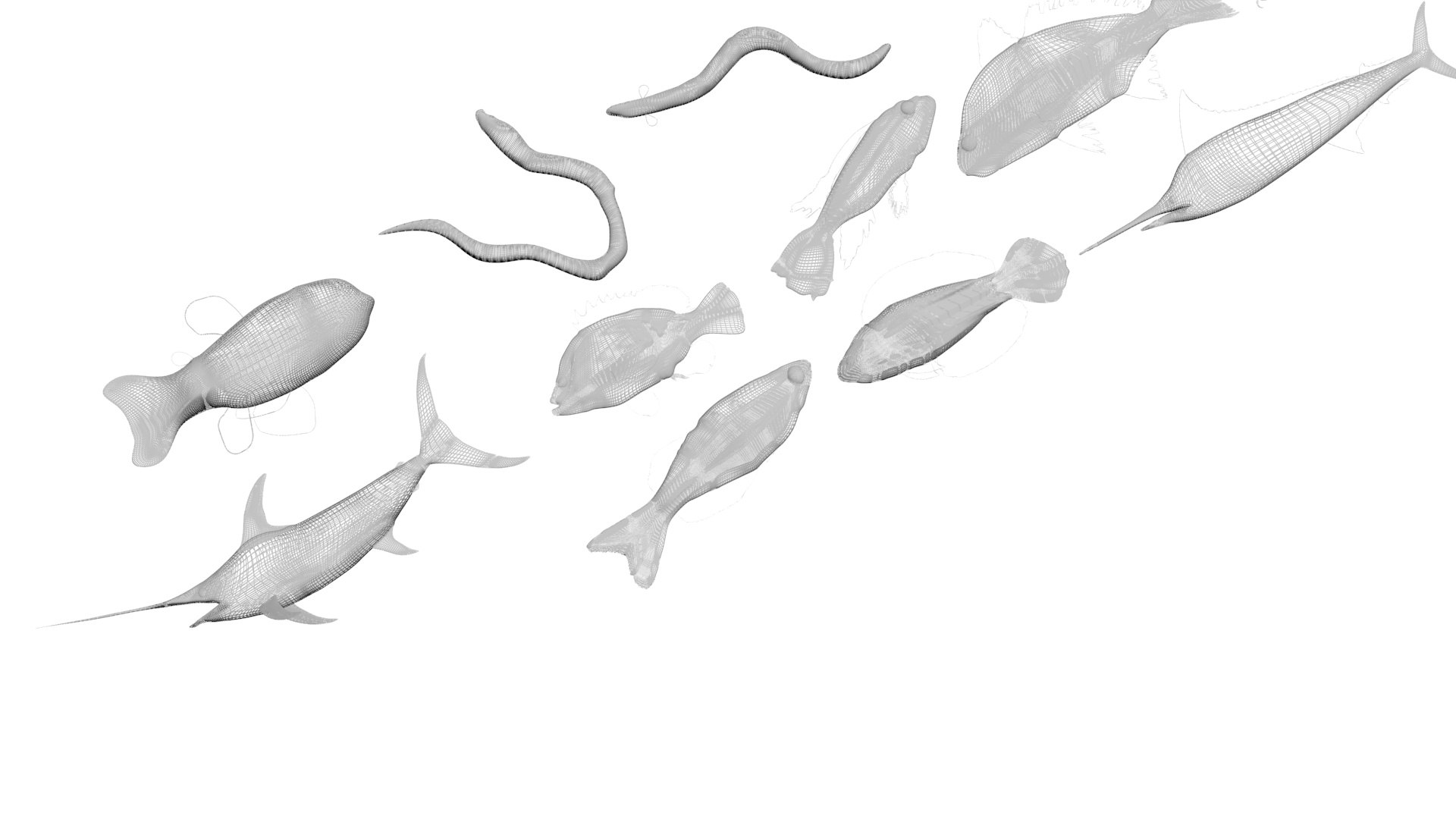 3D Fishes Set https://p.turbosquid.com/ts-thumb/Y8/hAvjxF/j3/fishesset40/jpg/1658388065/1920x1080/fit_q87/0ab48a3025c8c3e52d4713a7685a2c12a00894ec/fishesset40.jpg