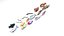 Fishes Set